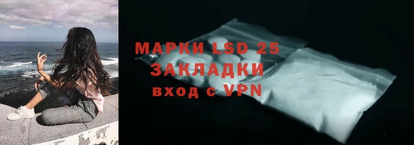 мескалин Болотное