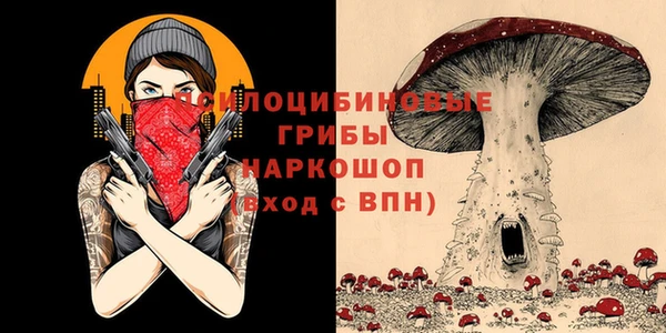 ешки Богородск
